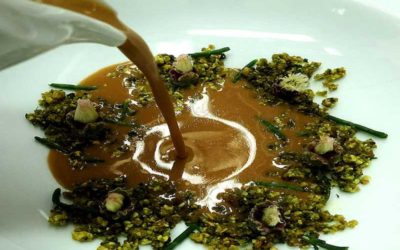 Crema de crustáceos de tierra (salicornia roja)