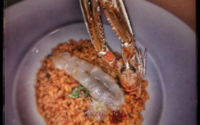 ARROZ DE CIGALA (Nephrops norvegicus) EN OLLA EXPRÉS