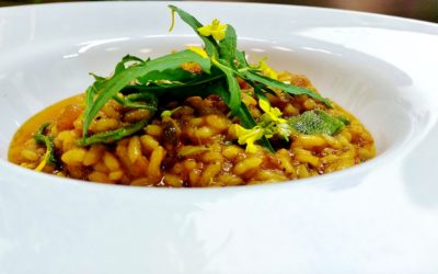 ARROZ DE HIERBAS SILVESTRES EN OLLA EXPRÉS