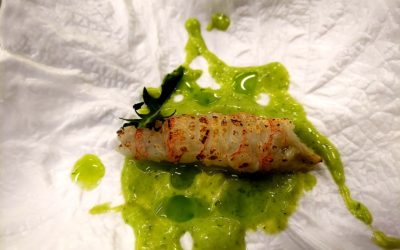 Cigala con emulsión de Diplotaxis erucoides (Wasabi Mediterráneo)